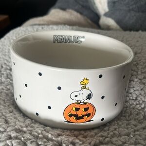 New Rae Dunn Halloween peanuts snoopy dog food bowl
